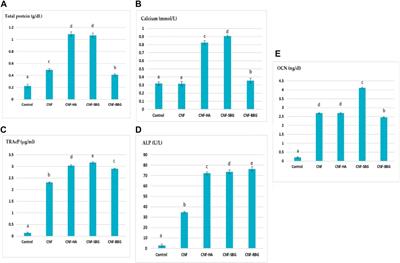 Hydrothermally reinforcing hydroxyaptatite and bioactive glass on carbon nanofiber scafold for bone tissue engineering